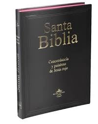 SANTA BIBLIA RVR082CLGiPJR NEGRO* | VACIO