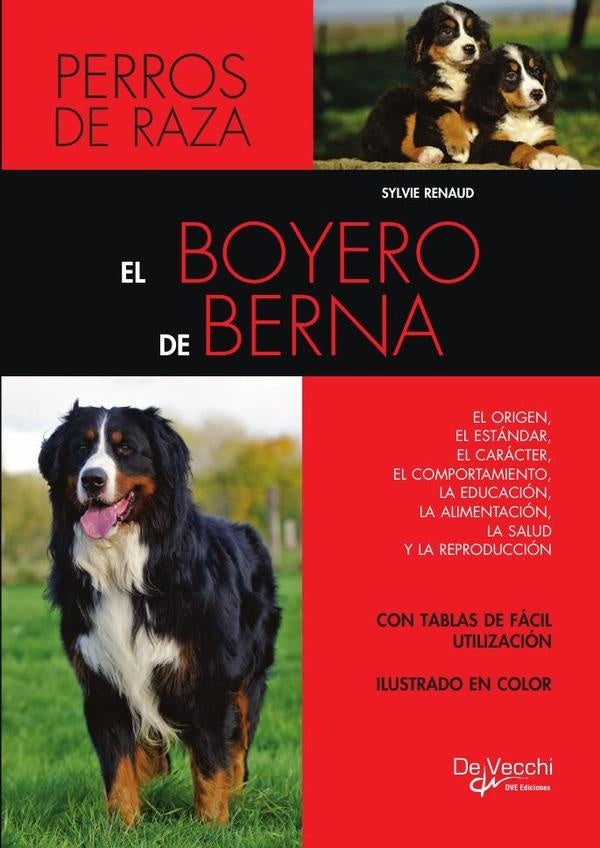 El boyero de Berna | Sylvie Renaud