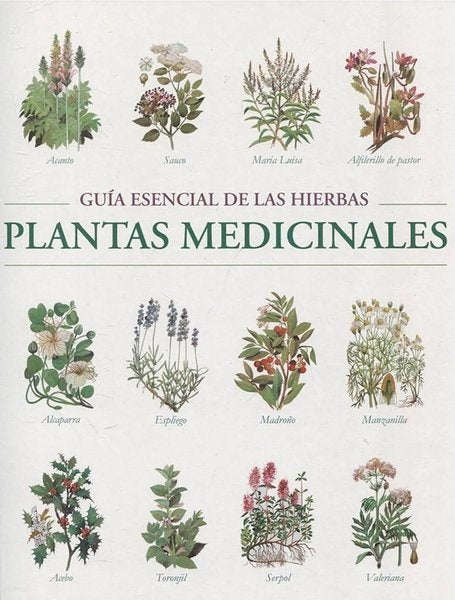 PLANTAS MEDICINALES* | VACIO