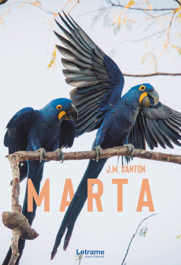 Marta | J.M. Santón