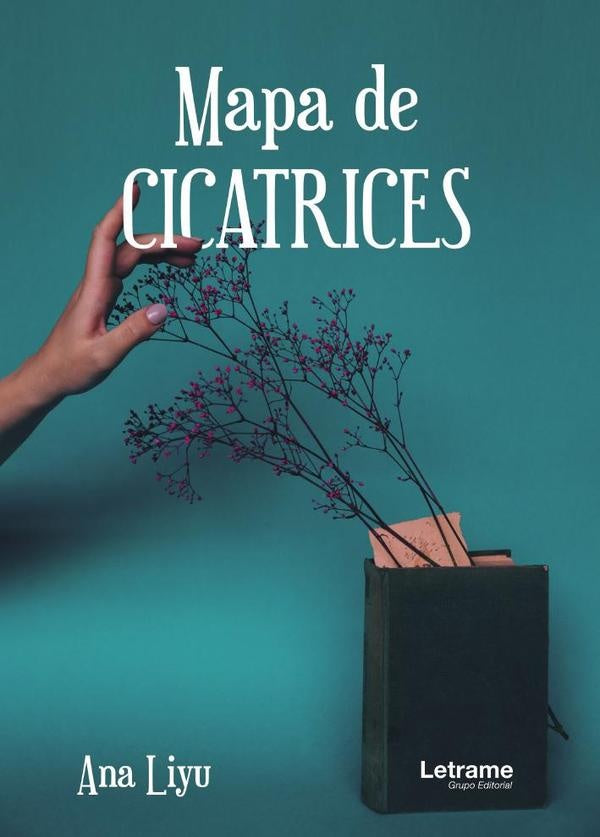 Mapa de cicatrices | Ana Liyu