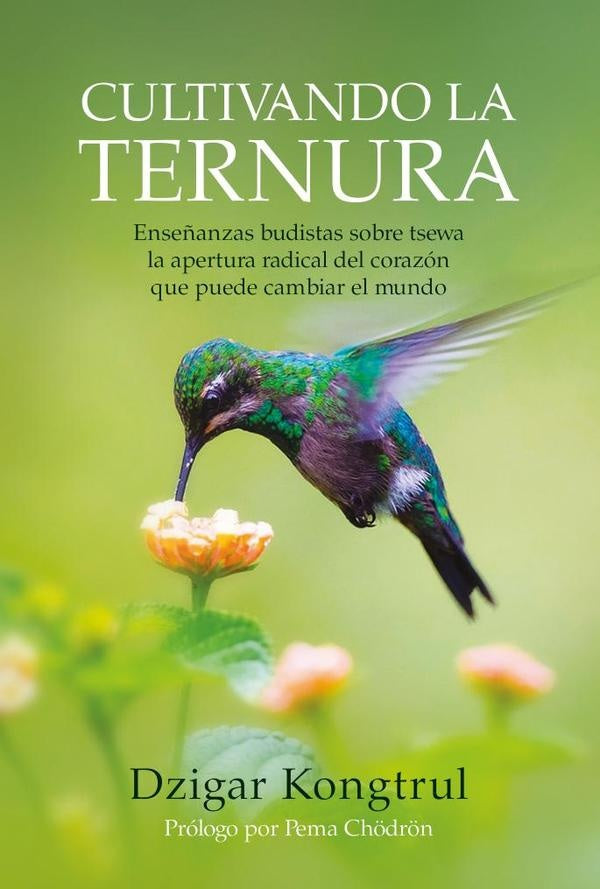 Cultivando la ternura | Dzigar Kongtrul