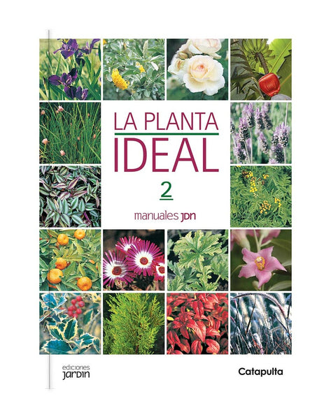 La Planta ideal 2 * | sin autor