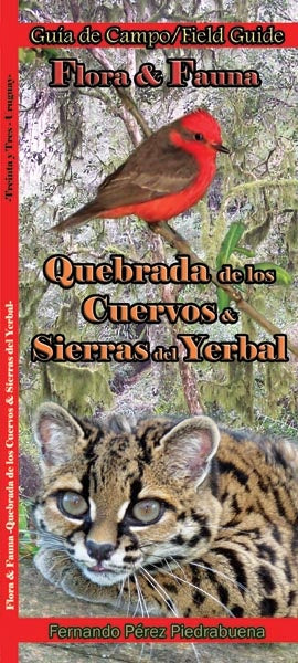 FLORA Y FAUNA QUEBRADA DE LOS CUERVOS Y SIERRAS DEL YERBAL | Fernando Pérez Piedrabuena