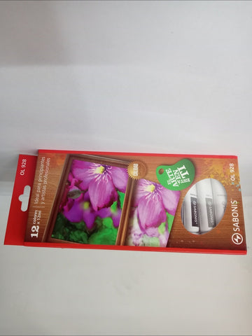 Pintura al oleo X12*