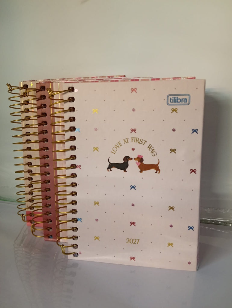 AGENDA BROWNIE DIA POR DIA CON ESPIRAL 2027