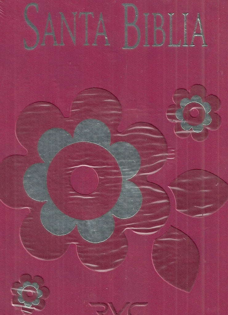 Santa biblia