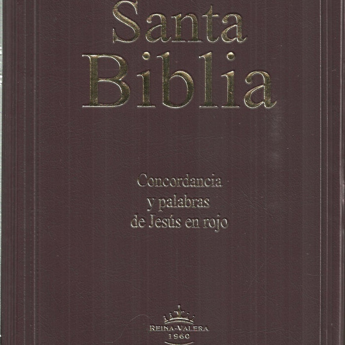 SANTA BIBLIA RVR082CLGiPJR VINO*