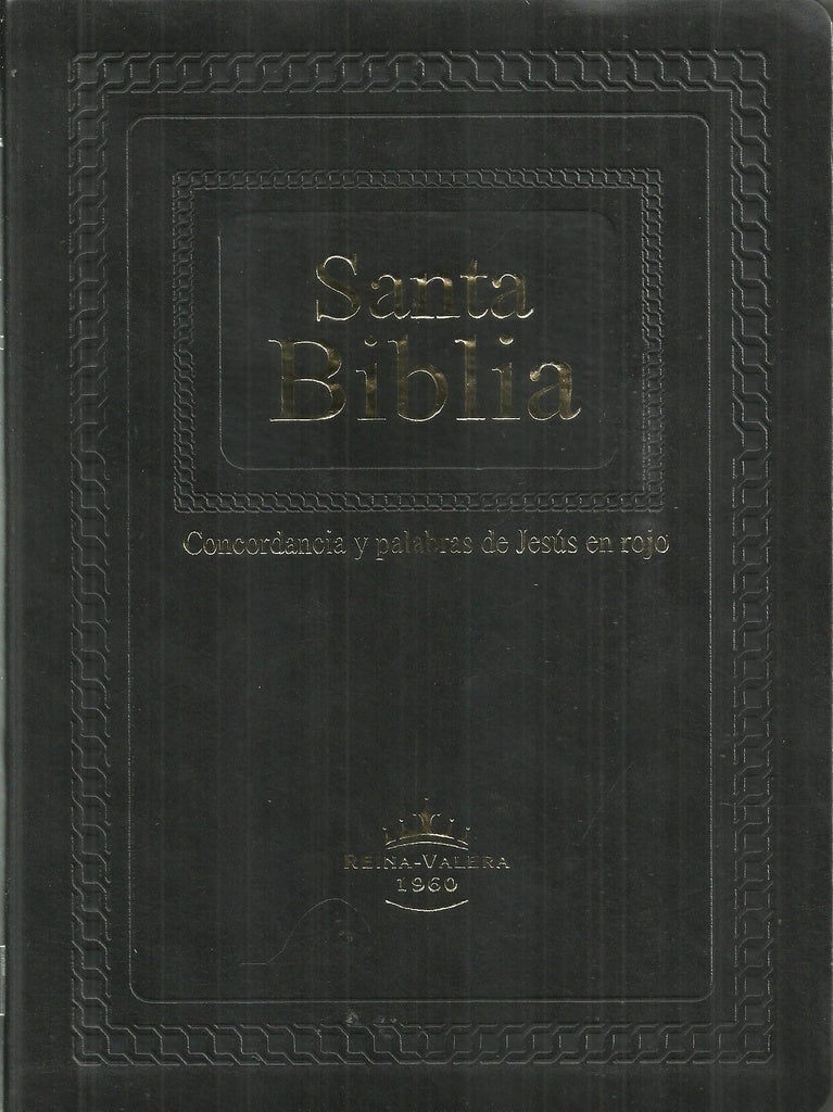 SANTA BIBLIA RVR086CLGIPJR NEGRA  | VACIO