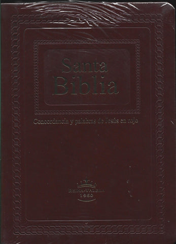 SANTA BIBLIA RVR086CLGiPJR MARRON | VACIO