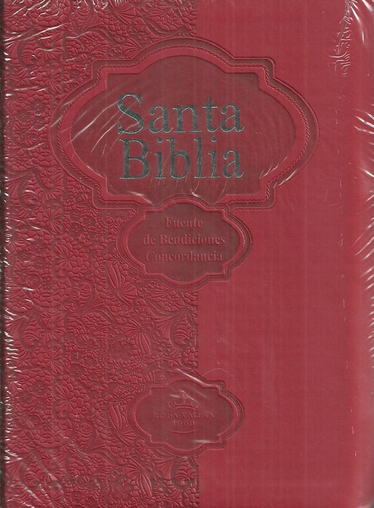 SANTA BIBLIA PIEL/ROJA | VACIO