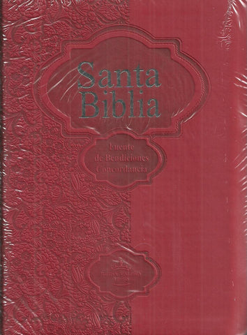 SANTA BIBLIA PIEL/ROJA | VACIO