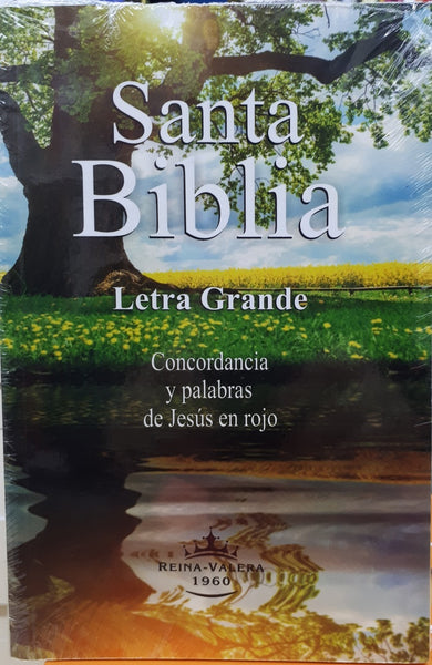 Biblia tapa rustica colores Letra Grande* | VERSION REINA-VALERA