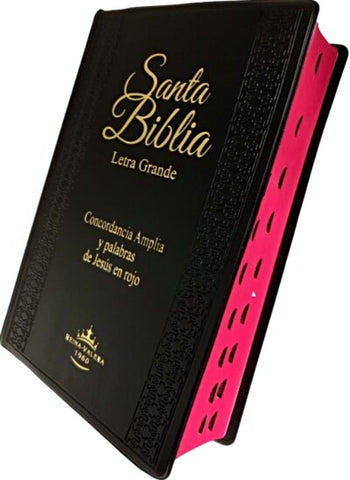 SANTA BIBLIA VINIL-NEGRO