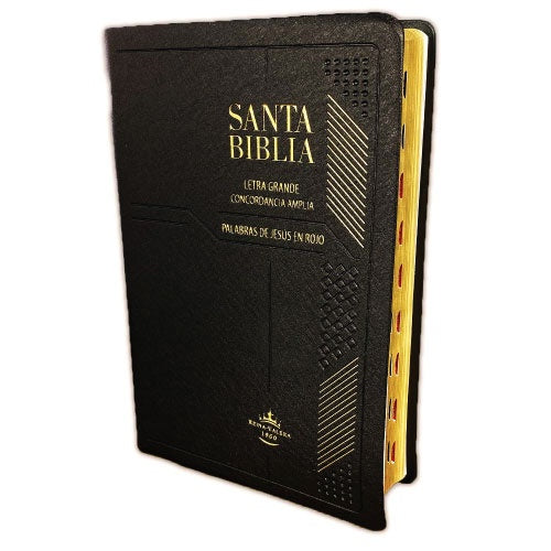 SANTA BIBLIA -LETRA GRANDE-JESUS EN ROJA | VACIO