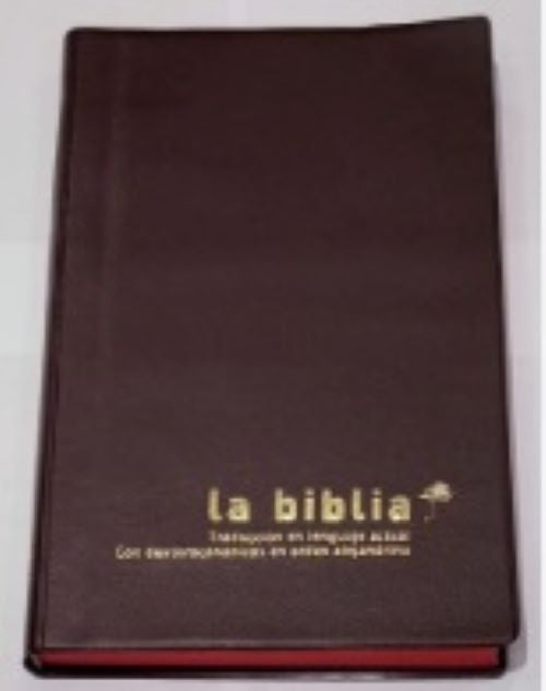 BIBLIA VINIL COLOR VINO | VACIO