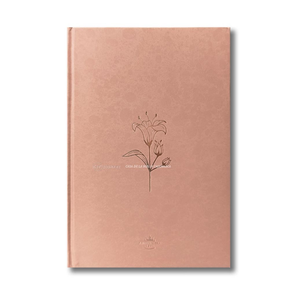 BIBLIA MARRON MINIMALISTA