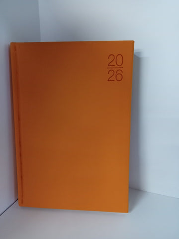 AGENDA 2026 OMEGA DIARIA COLOR LISO