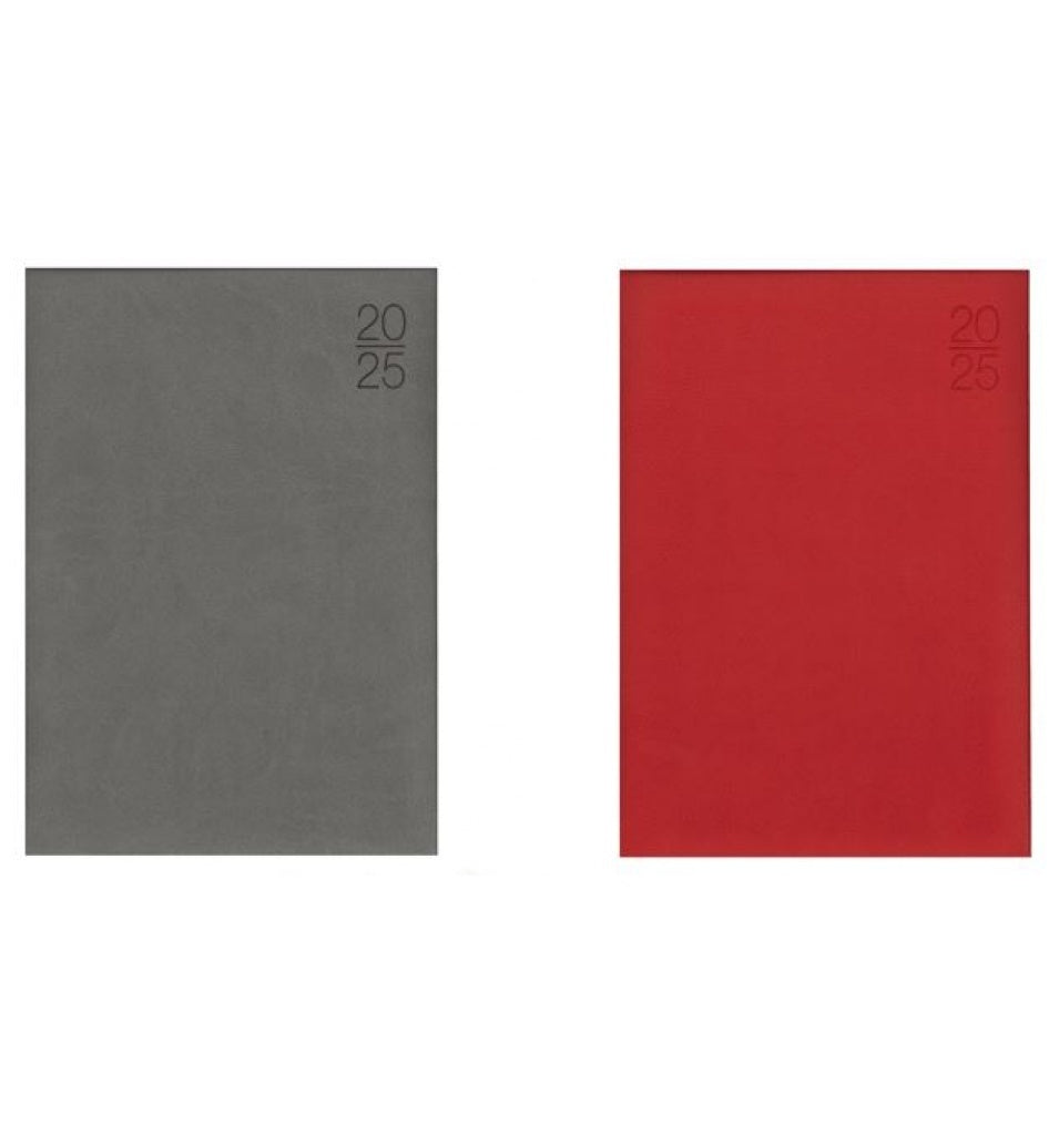 AGENDA 2027 OMEGA COLOR CELESTE