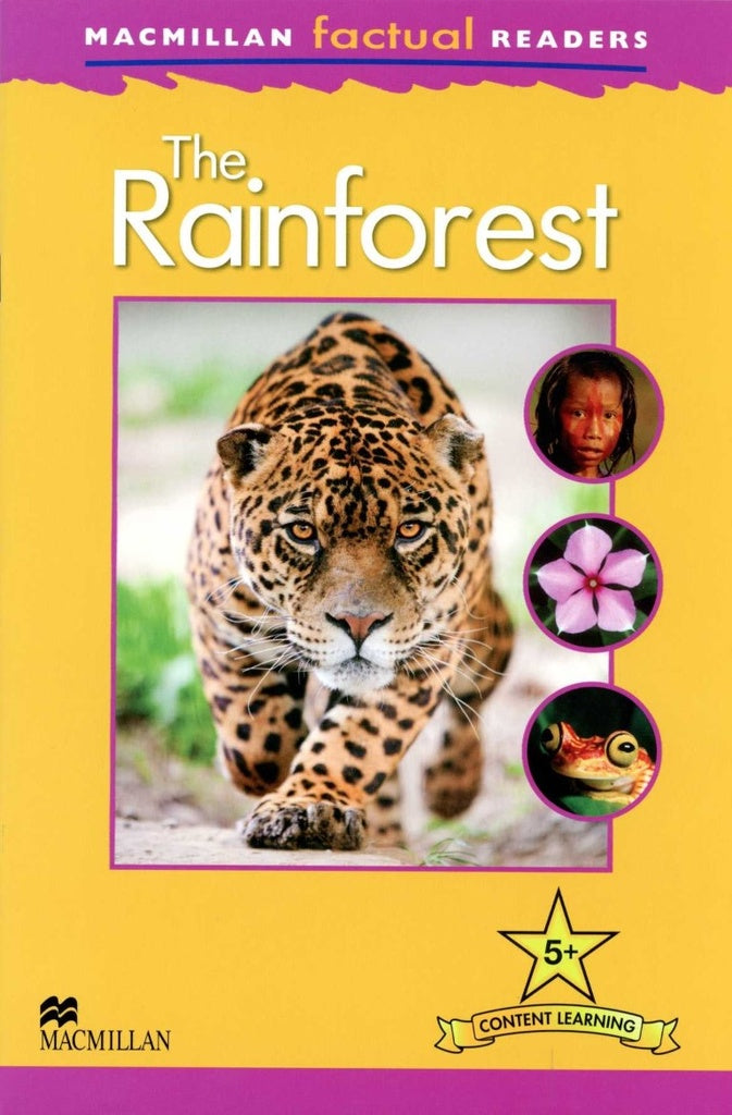 THE RAINFOREST