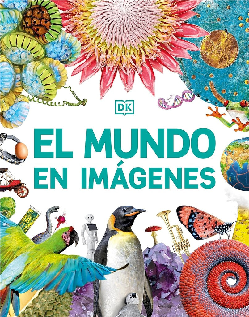 EL MUNDO EN IMAGENES..