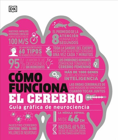 CÓMO FUNCIONA EL CEREBRO..