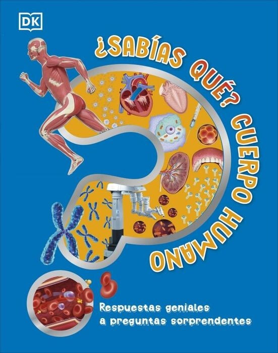 ¿SABÍAS QUE? CUERPO HUMANO..