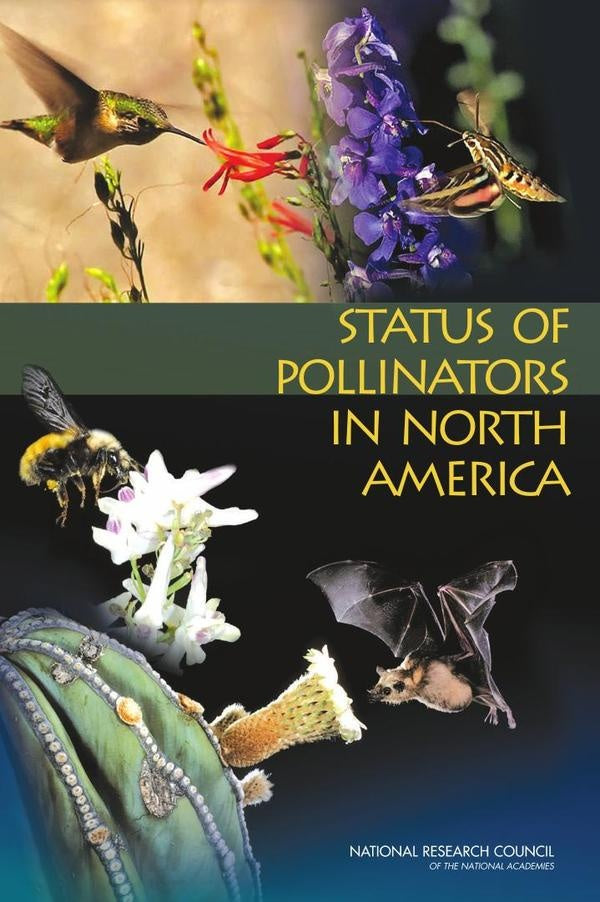 Status of Pollinators in North America | AA. VV.