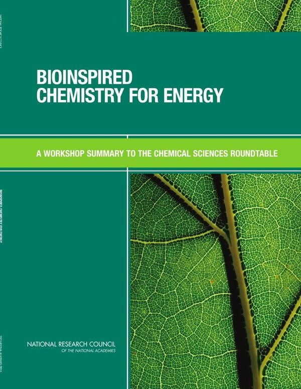 Bioinspired Chemistry for Energy | AA. VV.