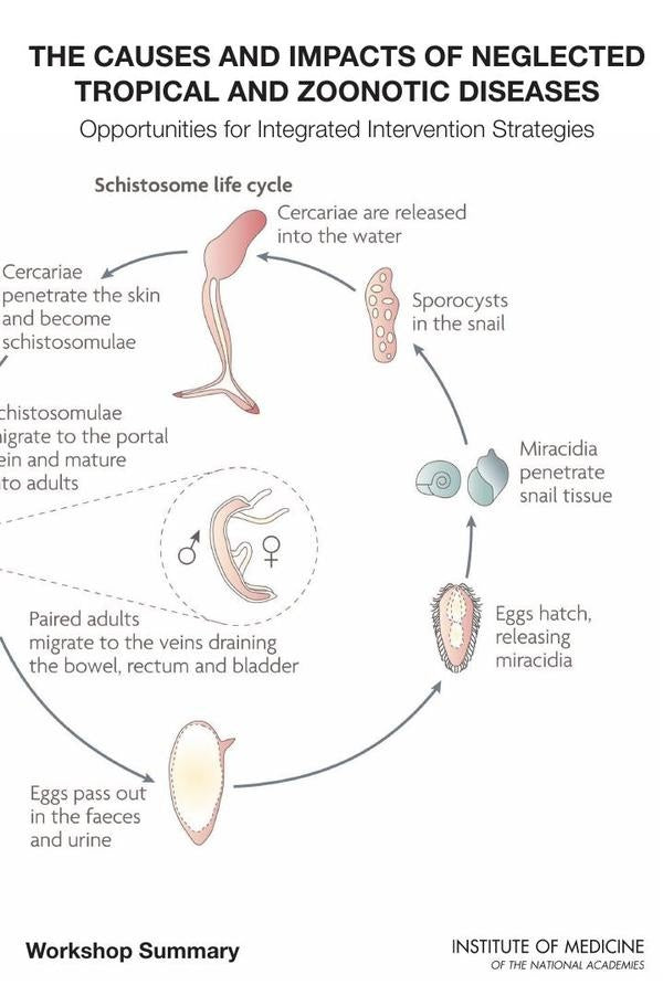 The Causes and Impacts of Neglected Tropical and Zoonotic Diseases | AA. VV.