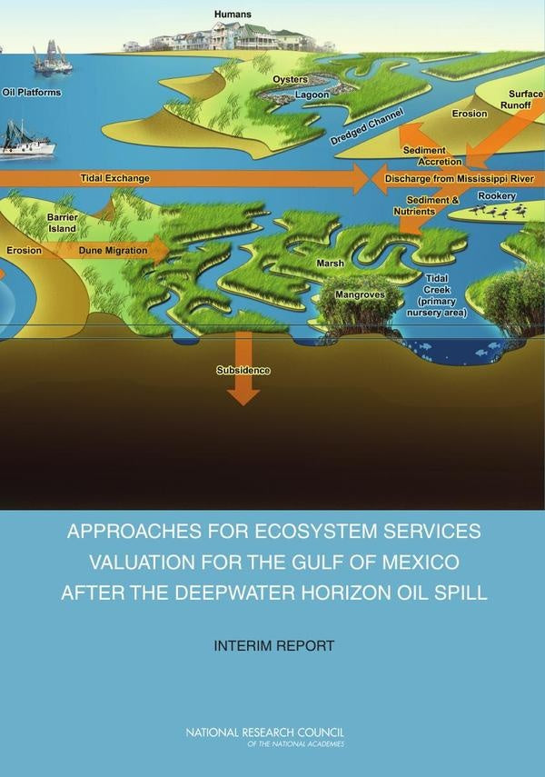 Approaches for Ecosystem Services Valuation for the Gulf of Mexico After the Deepwater Horizon Oil S | AA. VV.