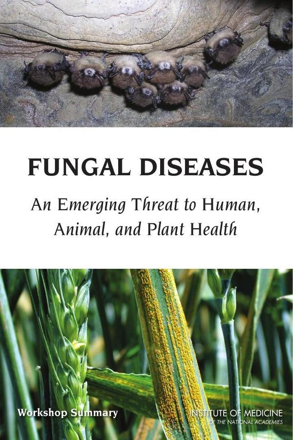 Fungal Diseases | AA. VV.