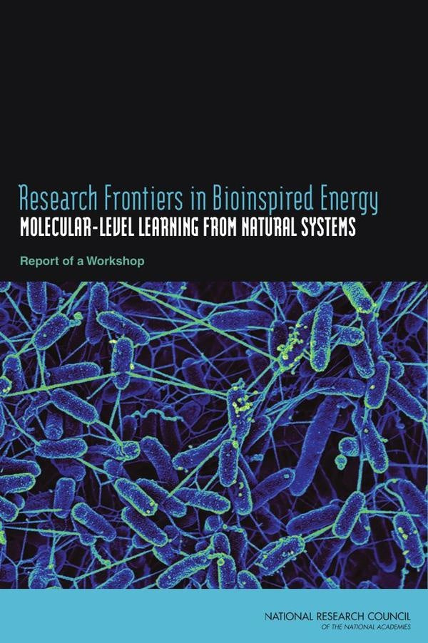 Research Frontiers in Bioinspired Energy | AA. VV.