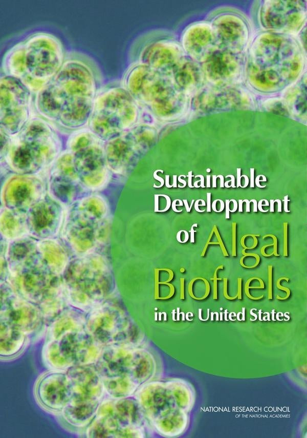 Sustainable Development of Algal Biofuels in the United States | AA. VV.