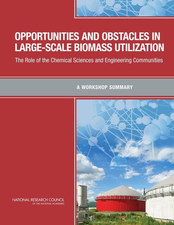 Opportunities and Obstacles in Large-Scale Biomass Utilization | AA. VV.