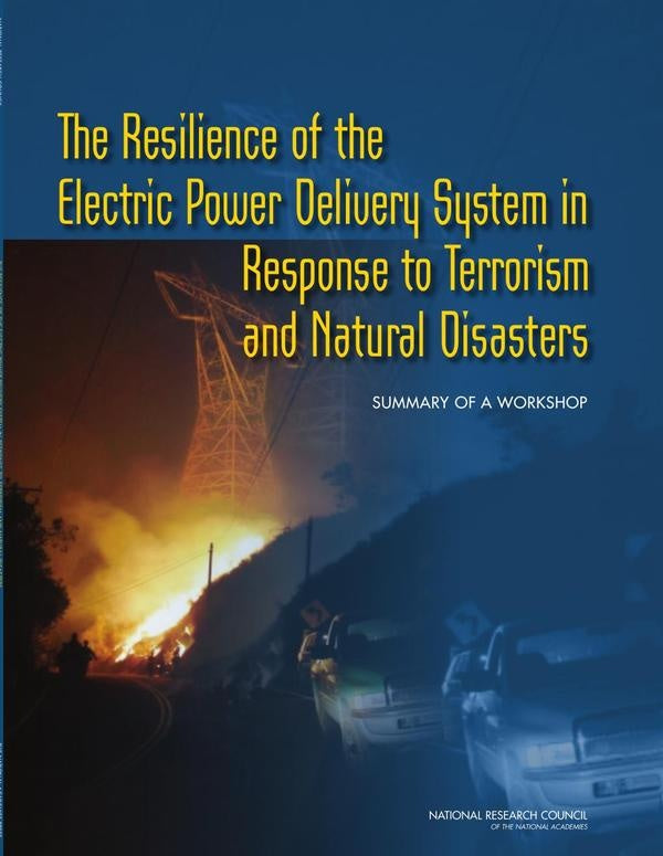 The Resilience of the Electric Power Delivery System in Response to Terrorism and Natural Disasters | AA. VV.