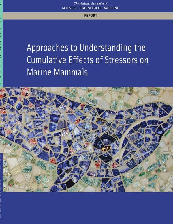 Approaches to Understanding the Cumulative Effects of Stressors on Marine Mammals | AA. VV.
