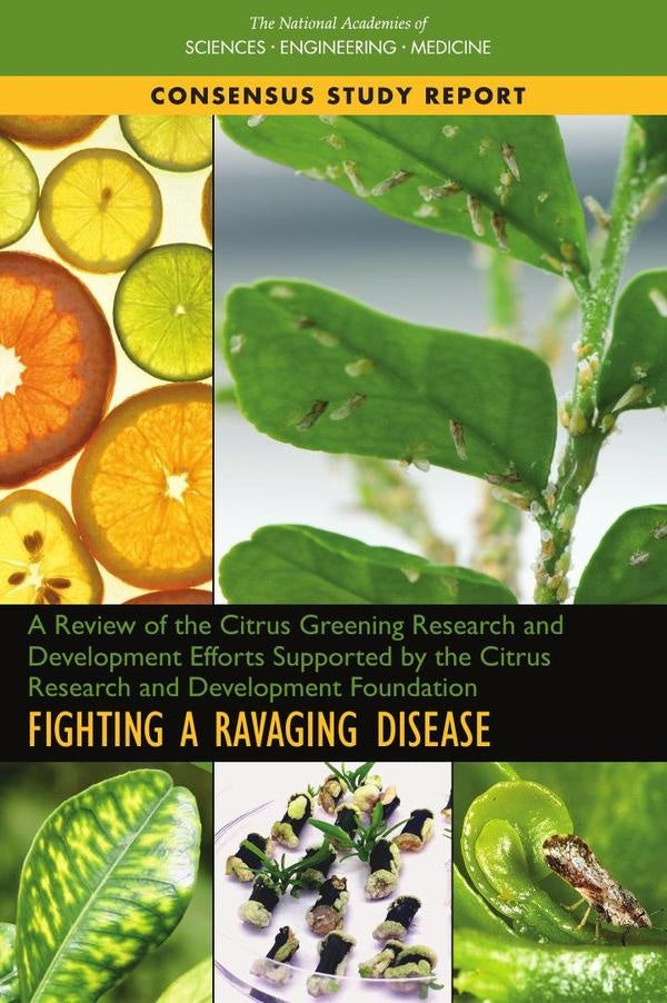 A Review of the Citrus Greening Research and Development Efforts Supported by the Citrus Research an | AA. VV.