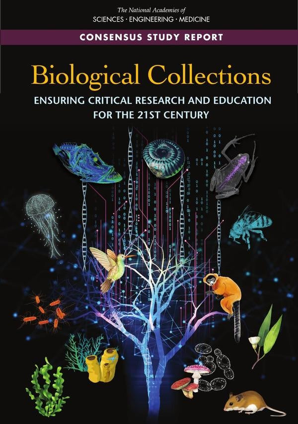 Biological Collections | AA. VV.