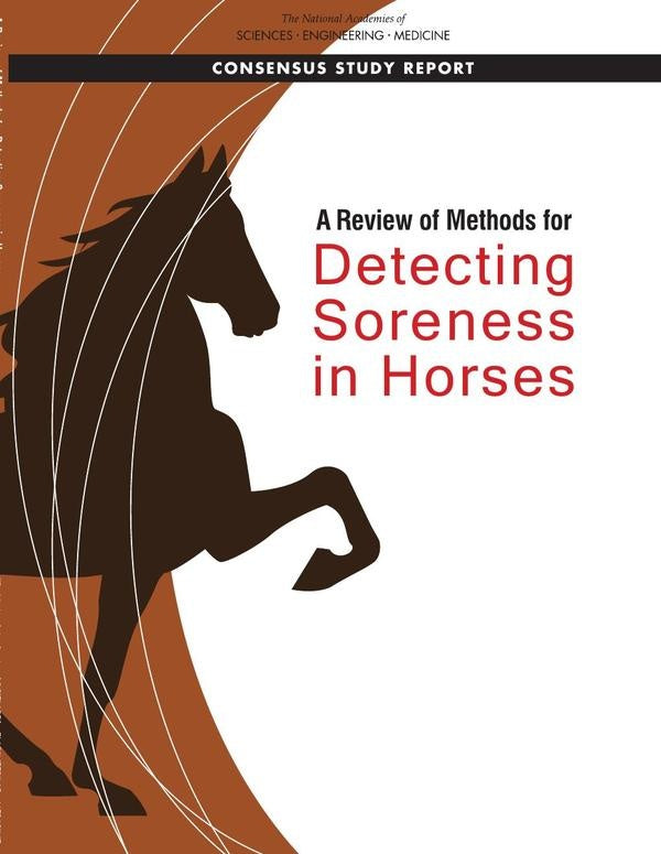 A Review of Methods for Detecting Soreness in Horses | AA. VV.