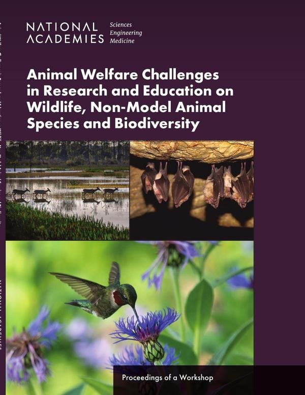 Animal Welfare Challenges in Research and Education on Wildlife, Non-Model Animal Species and Biodiv | AA. VV.