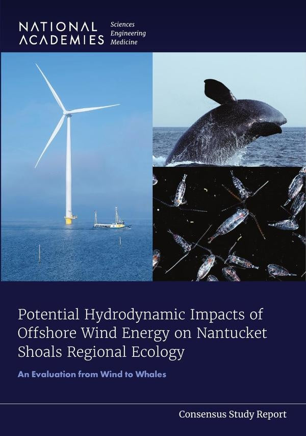 Potential Hydrodynamic Impacts of Offshore Wind Energy on Nantucket Shoals Regional Ecology | AA. VV.