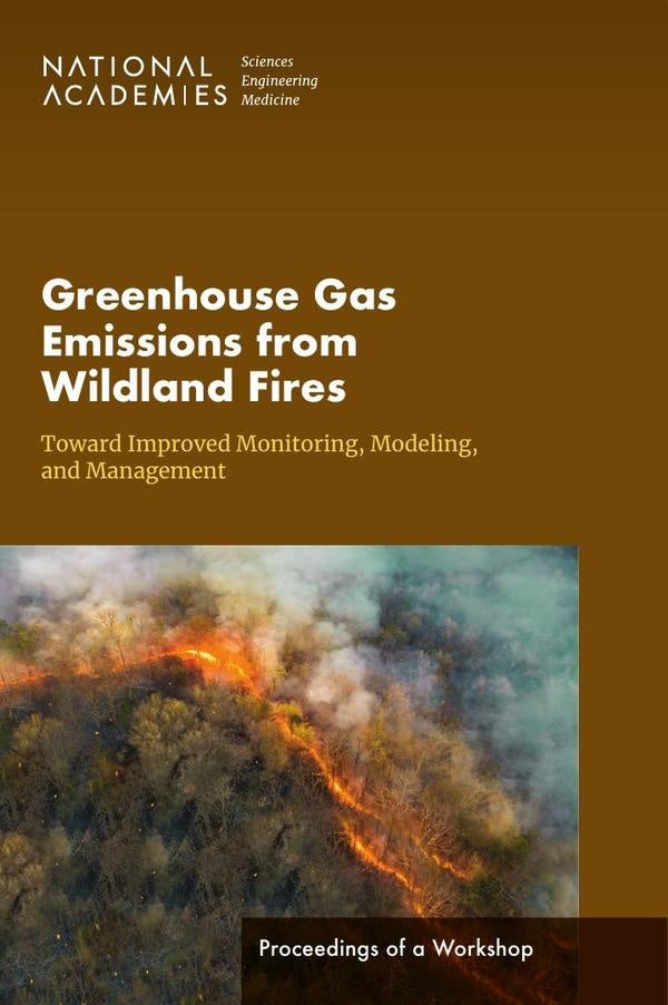 Greenhouse Gas Emissions from Wildland Fires | AA. VV.