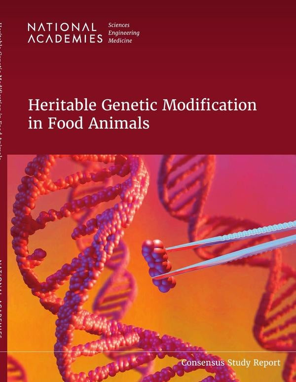 Heritable Genetic Modification in Food Animals | AA. VV.