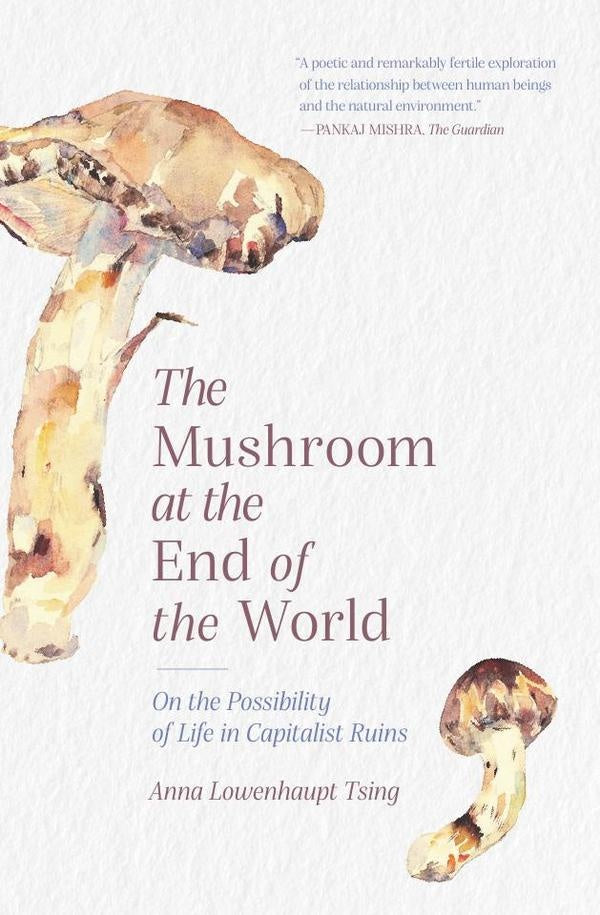 Mushroom at the End of the World | Anna Lowenhaupt Tsing