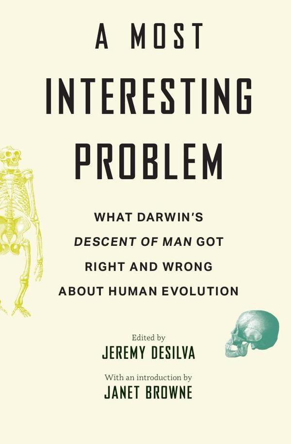 A Most Interesting Problem | Jeremy DeSilva