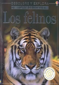 los felinos * | VACIO