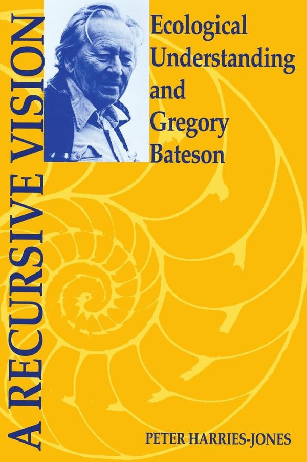 Recursive vision  | HARRIES-JONES PETER