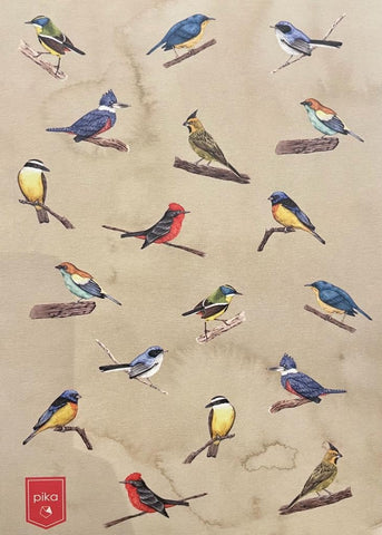 CUADERNO AVES URUGUAY..