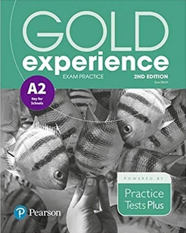 GOLD EXPERIENCE A2 EXAM PRACTICE 2ND EDITION